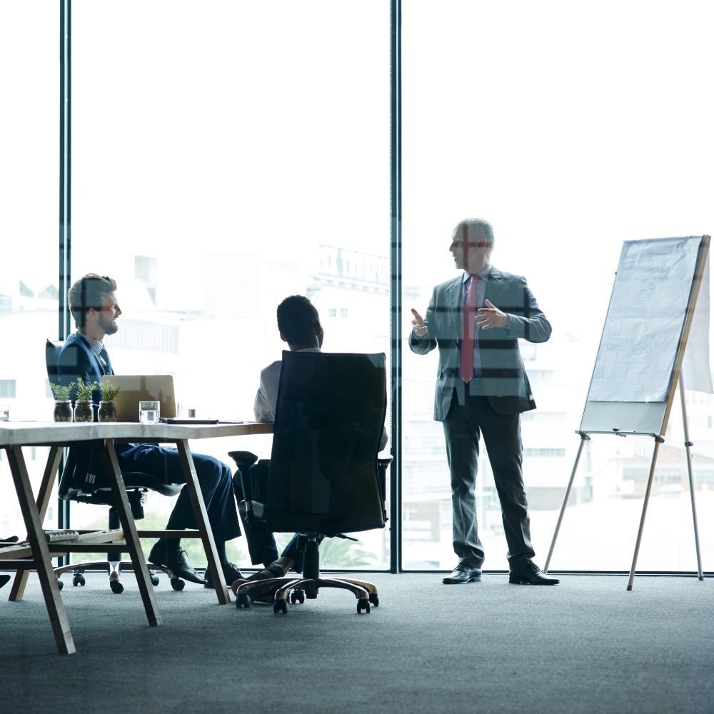 Professional Corporate Office